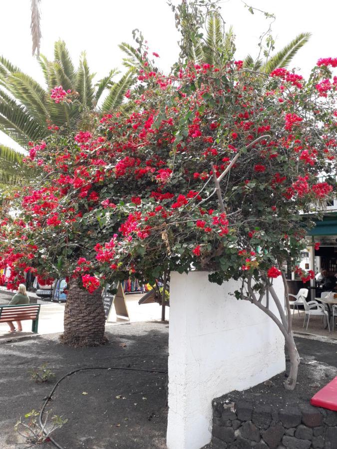 Sunny Self-Catering Apartment Costa Teguise, Lanzarote, Spain Ngoại thất bức ảnh